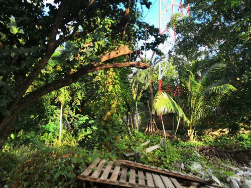 Imagen 4 de 5 de Venta Terreno 1599m2 Acapulco Diamante (castelli)