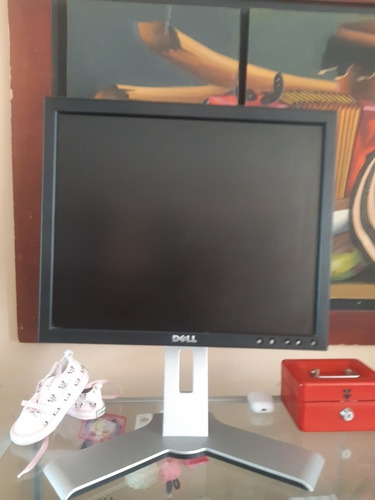 Monitor  Dell Lcd 19.5 Pulgadas Pantalla Plana  