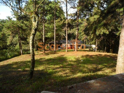 Imagem 17 de 19 de Chácara À Venda Itaquaciara, Itapecerica Da Serra/sp - 4152