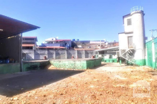 Imagem 8 de 11 de Lote À Venda No Santa Cruz - Código 266550 - 266550