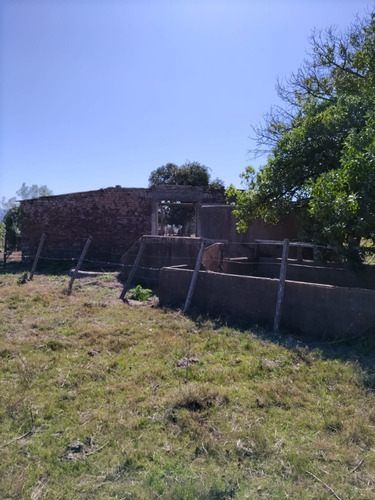 Campo De 397 Has - Maldonado, Aiguá