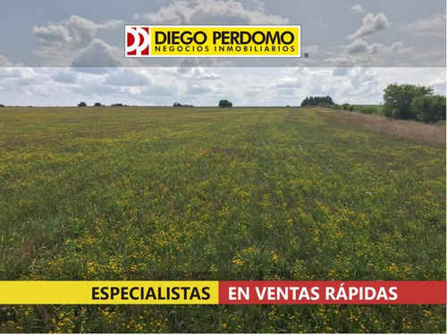 Campo En Venta 42 Has, San José De Mayo