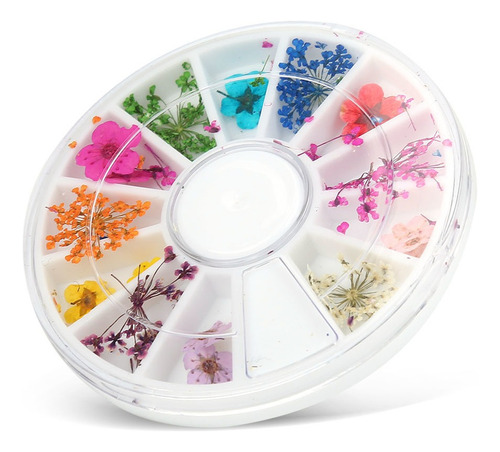 Flores Secas Flores De Uñas Románticas Para Decorar Tu