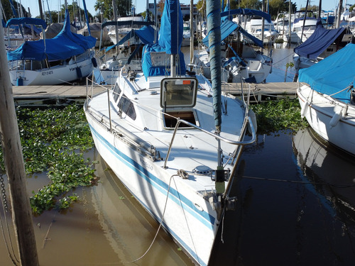 Velero Steward 26