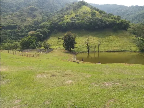 Venta Finca El Limonar Ebéjico