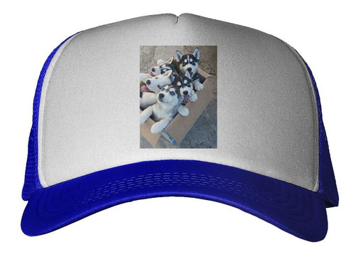 Gorra Husky Siberiano Cachorros M2