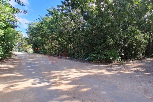 2 Terrenos Juntos 430 M2 Ideal Para Invertir En Cancún, Álamos