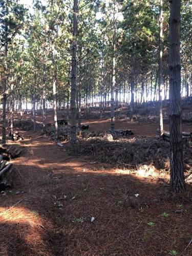 Terreno En Navidad, Localidad De Matanzas