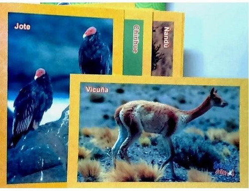 Tarjetas Animales Chilenos