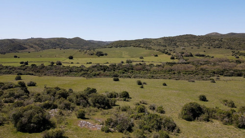 Imagen 6 de 9 de Chacra 5ha Lavalleja Aguas Blancas Fraccionamiento (ref: Atm-6838)