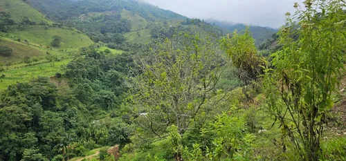 Venta De Lote En Santa Bárbara Vereda Pitayó Lote No. 2a