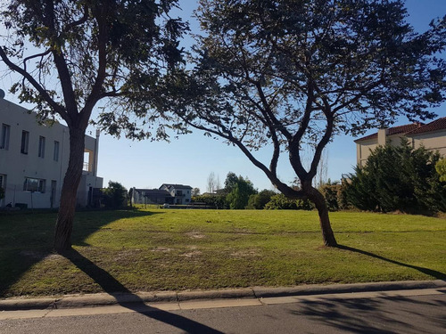 Imagen 4 de 9 de Vn-san Marco - Lote En Venta Usd 250.000