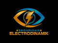SEGURIDAD ELECTRODINAMIK