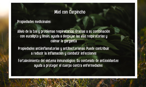 Miel Con Carpincho Eucalipto Y Limón - 250cc