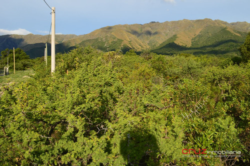 Imagen 5 de 14 de Lote De 5024m2 En Zona Alta De Carpintería