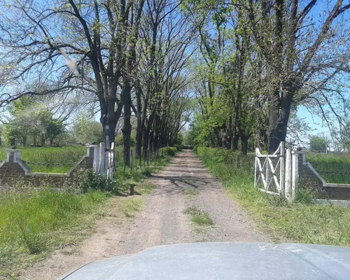 Chacra De 15.5 Has. Sobre Ruta Nac.5 A 2 Km De Bragado