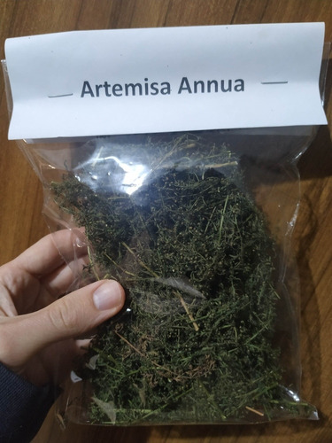 Artemisia Annua Orgánica Seca Para Té