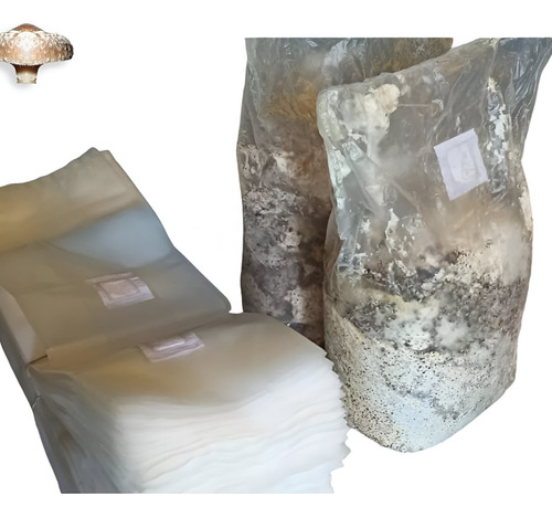 50 Bolsas Cultivo Hongos, Micelio/esterilizar Autoclave Y+