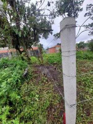 Imagem 3 de 6 de Terreno Escriturado Em Itanhaém - 9618 R