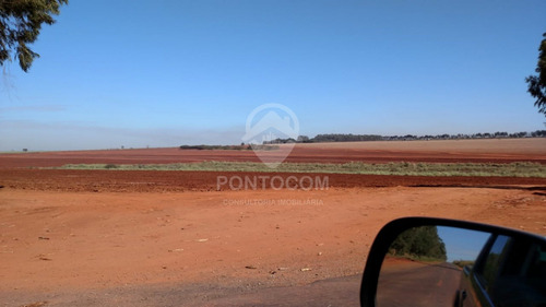 Imagem 9 de 12 de Áreaa Rural- Narandiba - 3840951v