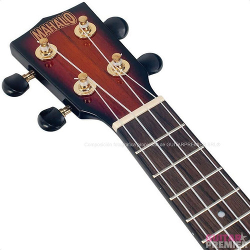 Ukelele Concierto Electroacustico Sapele Profesional Funda