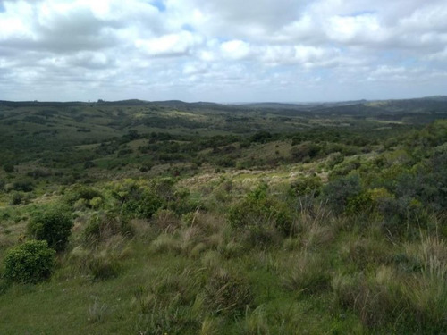 Campo En Venta
