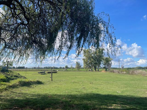 Excelente Campo En Venta A 5 Km Del Casco Urbano De Marcos Paz
