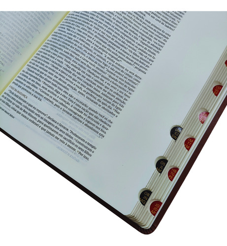 Biblia Nvi Bible Journaling Leitura Perfeita Com Espaço Para Anotações Capa Couro Soft Marrom Com Indice