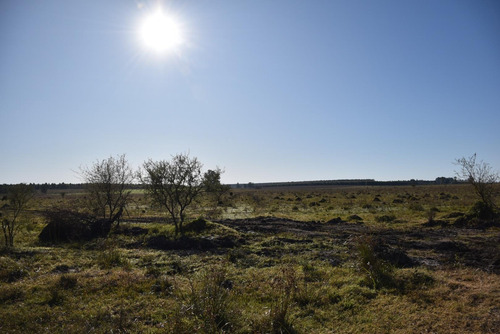 Imagen 2 de 22 de Campo Mixto En Venta Estación Yeruá