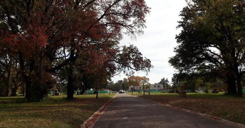Imagen 15 de 23 de Terreno - Ingeniero Adolfo Sourdeaux