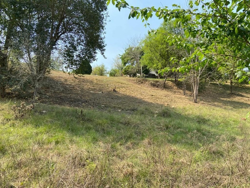 Imagen 2 de 6 de Terreno En Venta En Los Cavazos En Santiago