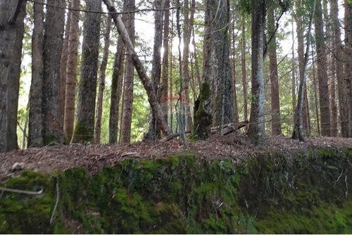 Venta Parcela Pucón Con Acceso A Rio Carhuello