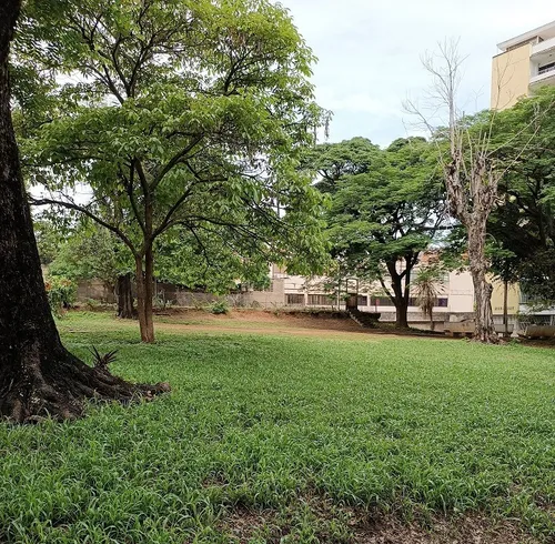 Venta Apto Pb En Buena Vista