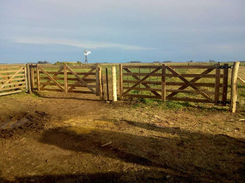 Excelente Campo De 543 Has Unico En La Zona De Cañuelas