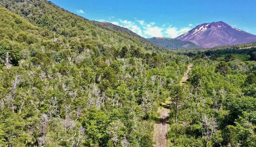 Parcela En Venta En Curacautín