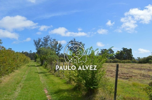Chacras-venta-piriapolis-ch124