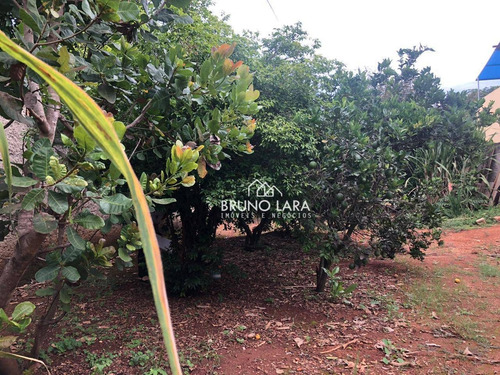 Imagem 15 de 30 de Sítio À Venda Em Igarapé Bairro Fernão Dias - Si0058
