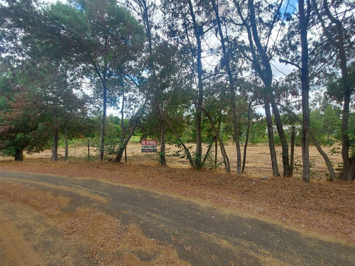 Se Vende Terreno Alto Las Cruces Condominio Los Manzanos