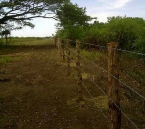 Imagen 4 de 7 de Terreno En Venta Higuerote-sotillo Riv # 11976