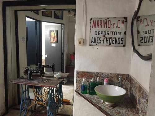 Locales Comerciales Alquiler Colonia Del Sacramento