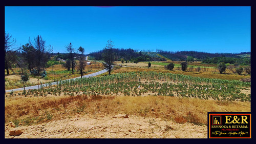 Parcelas A Orilla De Carretera, Sta. Juan (67691)