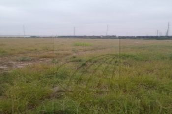 Imagen 4 de 5 de Terrenos En Renta En Agrarista, Salinas Victoria