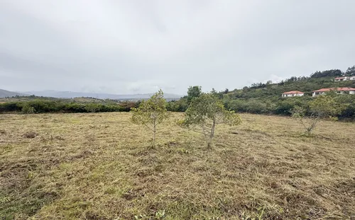 Lote En Venta En Vereda El Roble. Cod V10010039