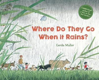 Libro Where Do They Go When It Rains? - Gerda Muller