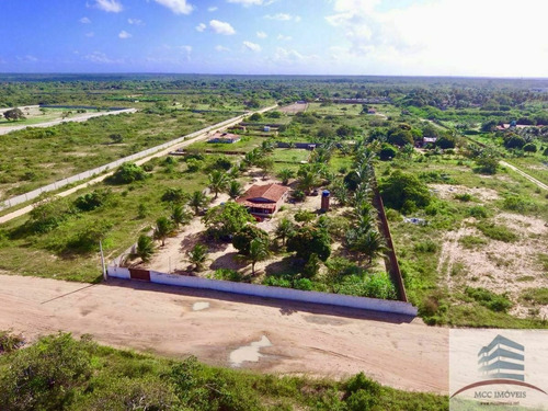 Imagem 2 de 17 de Granja A Venda Em Macaíba