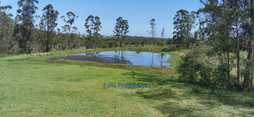 Imagen 7 de 26 de Piriapolis Venta De Muy Buen Chacra 5 Has Cw148170