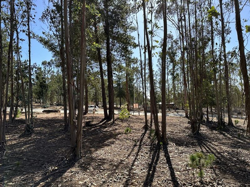 Oportunidad Única Amplio Terreno Condominio Huallilemu 