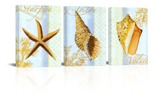 Feifanmei Seaside Beach Canvas Wall Art Starfish Conch ...