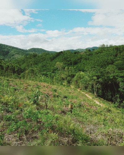 Imagem 14 de 14 de A01- Desconto De Terrenos 1.000m2 Plainos Prox A Represa !!!