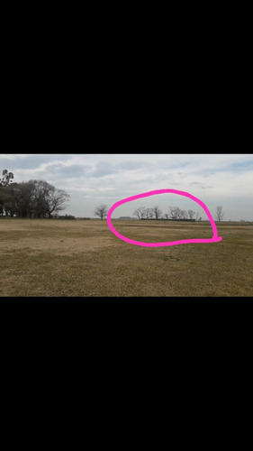 Campo Ganadero : Saladillo ,57,37 Hectáreas